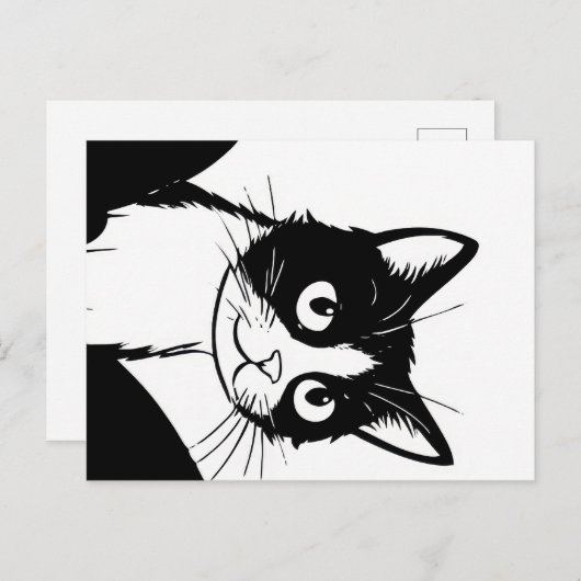 mignon chat noir carte postale (Devant / Derrière)