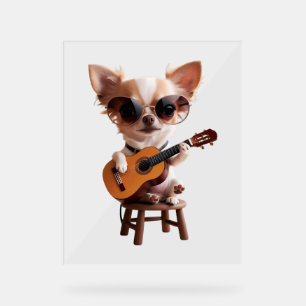 mignon chihuahua jouant de la guitare classique de