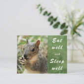mignon écureuil bien manger et dormir bien carte p (Debout devant)