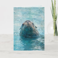 Mignon lion de mer mammifère marin carte vierge po