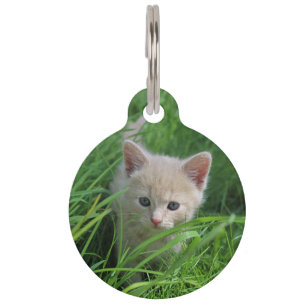 Mignon overload huisdierpenning