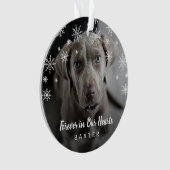Mignonette Snowflakes Dog Photo Pet Memorial (devant)