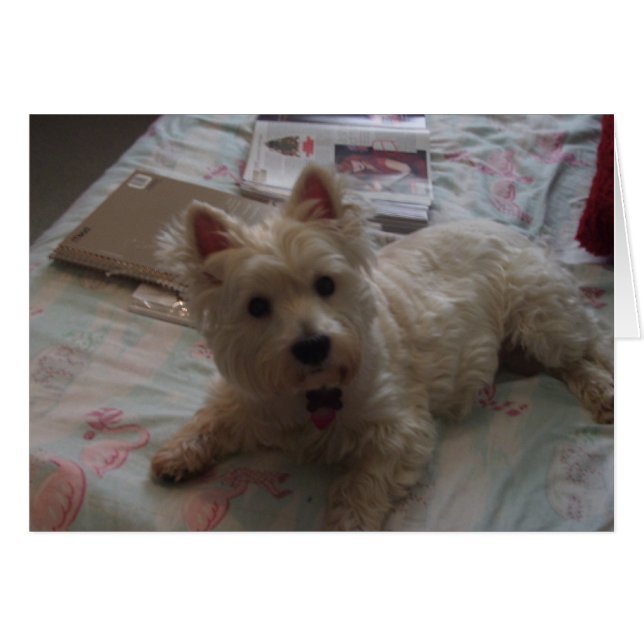 mignonne carte jack ! (Devant horizontal)