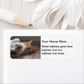 Mignonne chat dort Retourner l'adresse Étiquettes (En situation)