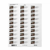 Mignonne chat dort Retourner l'adresse Étiquettes (Feuille entière)