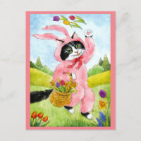 Mignonne chatte beignets fleurs rose carte postale