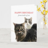mignonne chatte carte d'anniversaire de kitty cat (Fleur jaune)