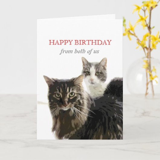 mignonne chatte carte d'anniversaire de kitty cat  (Fleur jaune)