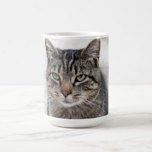 Mignonne, douce, adorable, chat Mug