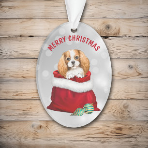 Mignonne King Charles Spaniel Cadeau Surprise Orne