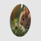 Mignonne lapin lapin et une coccinelle sur le cham (devant)