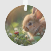 Mignonne lapin lapin et une coccinelle sur le cham (dos)