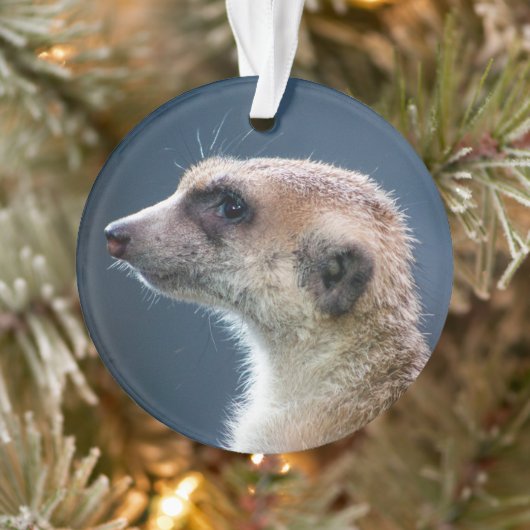 Mignonne Meerkat Circulaire de Noël (Arbre)