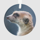 Mignonne Meerkat Circulaire de Noël (dos)