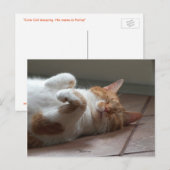 Mignonne orange chat dormir Carte postale (Devant / Derrière)