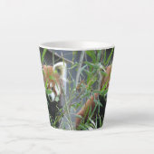 Mignonne regarder Rouge Panda Latte Mug (Devant)