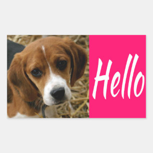 Mignons autocollants de salutation / salut chiot B