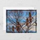 MIgratie Briefkaart (Voorkant / Achterkant)