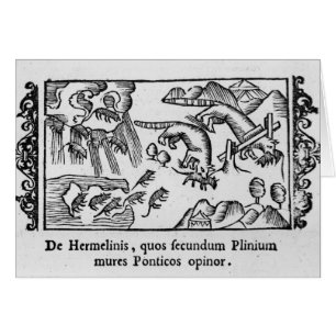 Migratie van lemmingen