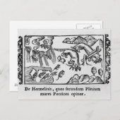 Migratie van lemmingen briefkaart (Voorkant / Achterkant)