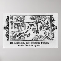 Migratie van lemmingen