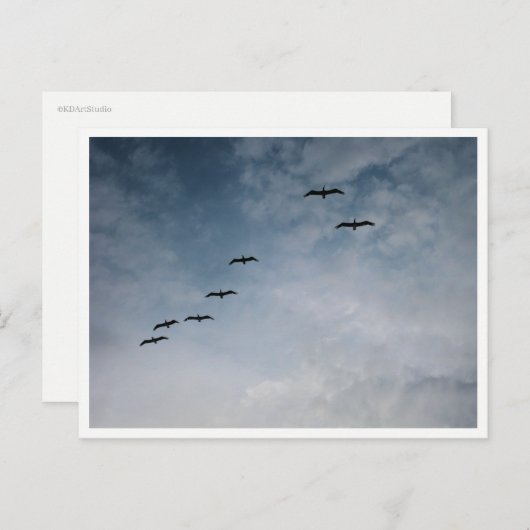 Migrating Geese in V-Formation Briefkaart (Voorkant / Achterkant)