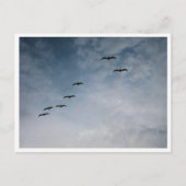 Migrating Geese in V-Formation Briefkaart (Voorkant)