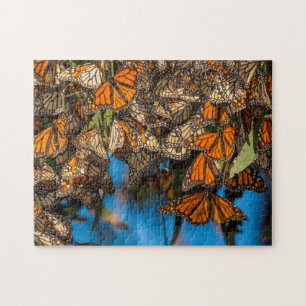 Migrating monarch butterflips cling to leaves legpuzzel