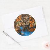Migrating monarch butterflips cling to leaves ronde sticker (Envelop)