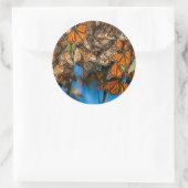 Migrating monarch butterflips cling to leaves ronde sticker (Tas)