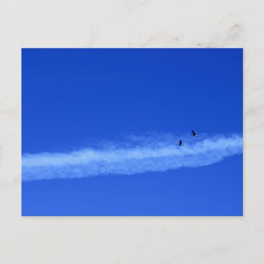 Migrerende paar ganzen briefkaart (Voorkant)