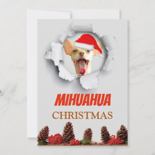 Mihuahua Christmas, Chihuahua with santa hat Feestdagenkaart