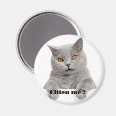 Mij kitten? magneet (Voorkant / Achterkant)