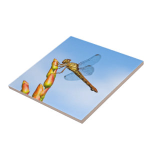 mijlen achter me tegeltje