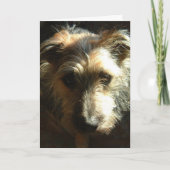 Mijlen Kaart (Voorkant)