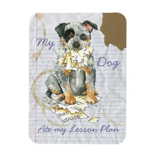 Mijn ACD Ate Mijn Lesson Plan Magneet (Verticaal)