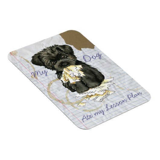 Mijn affenpinscher Ate Mijn Lesson Plan Magneet (Rechterzijde)