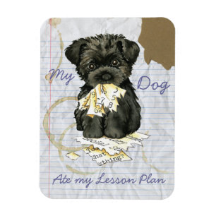 Mijn affenpinscher Ate Mijn Lesson Plan Magneet