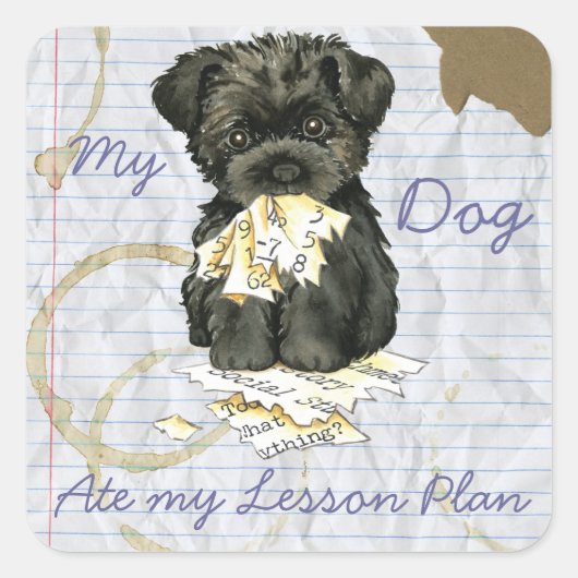 Mijn affenpinscher Ate Mijn Lesson Plan Vierkante Sticker (Voorkant)