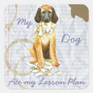 Mijn Afghaanse Hond at mijn Plan van de Les Vierkante Sticker