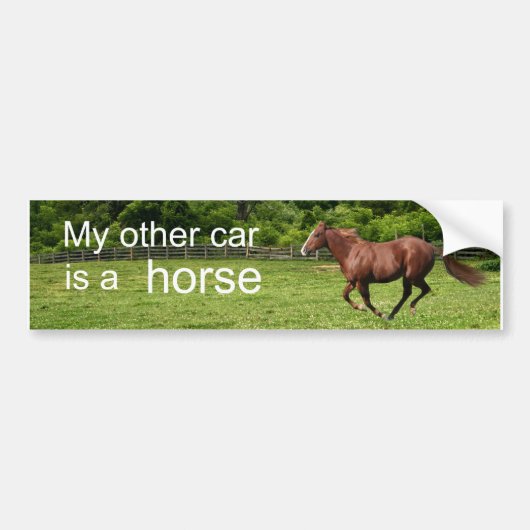 Mijn andere auto is een paard bumpersticker (Voorkant)