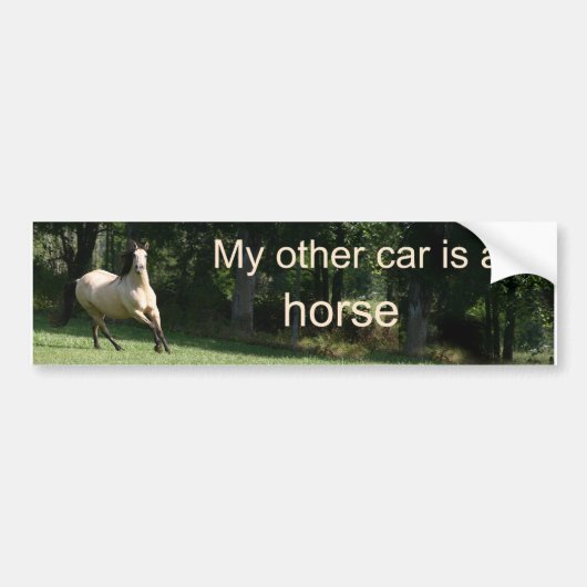 Mijn andere auto is een paard bumpersticker (Voorkant)