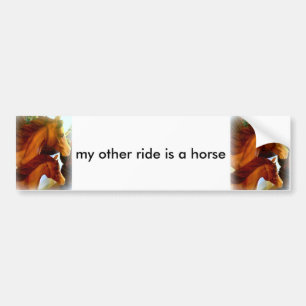 mijn andere rit is een paard bumpersticker