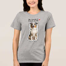 Mijn Aussie Zit Vast Aan Mij Schattige Hond Liefhe