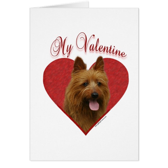Mijn Australian Terrier Valentijn (Voorkant)