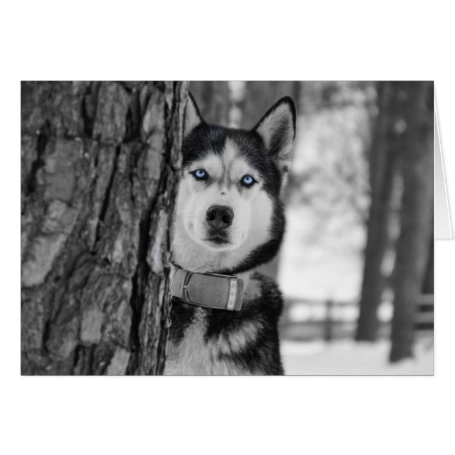 Mijn Baby Blue Eyes (Voorkant Horizontaal)