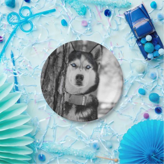 Mijn Baby Blue Eyes Papieren Bordje (Feest)