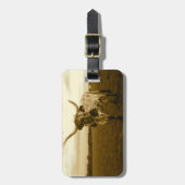 Mijn Bagagelabel van het Leven - Texas Longhorn S (Voorkant verticaal)