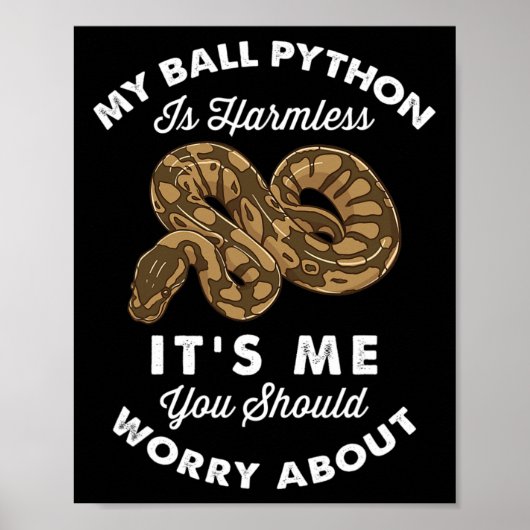 Mijn bal Python is onschuldig... het is mij dat je Poster (Voorkant)