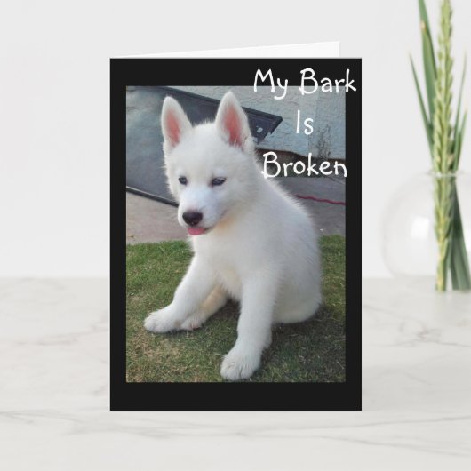 MIJN BARK BROKE VAN HOWLING DAT IK "JOU" MIST KAART (Voorkant)